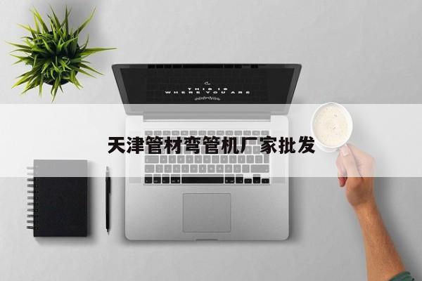 天津管材彎管機(jī)廠家批發(fā)